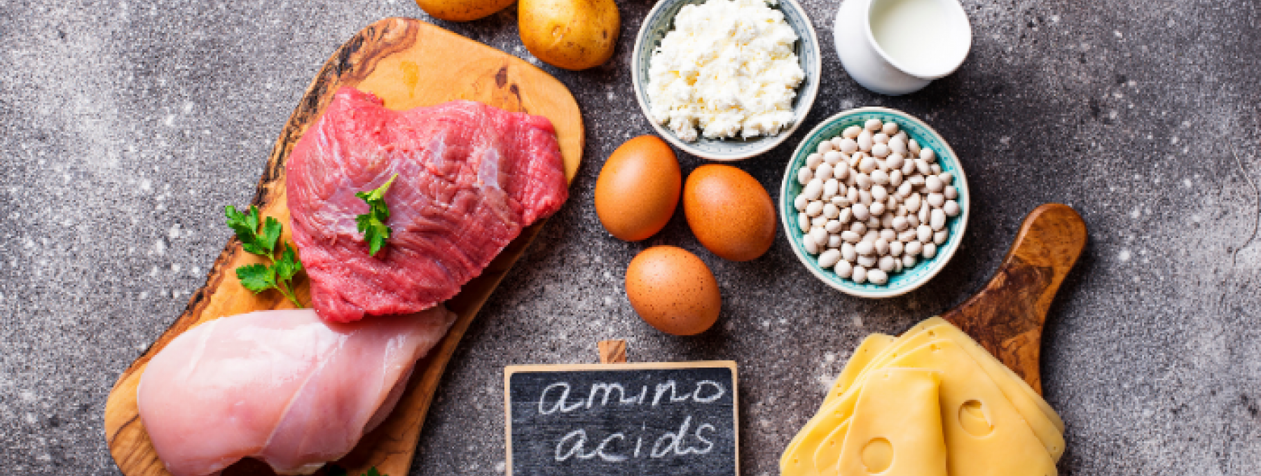 Načo slúžia aminokyseliny?